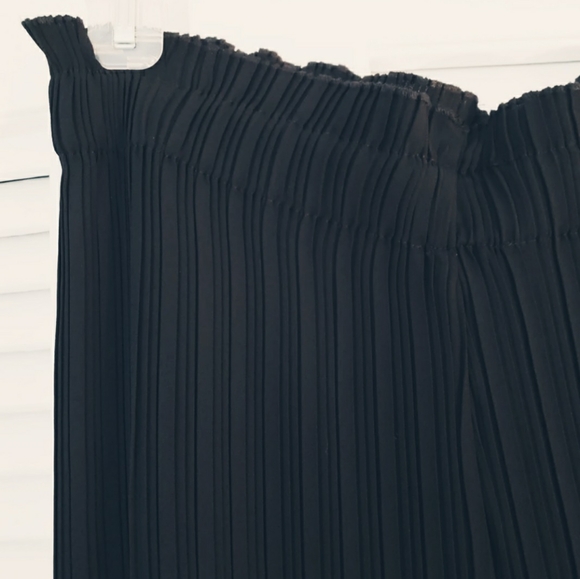 Palazzo Pleated Pants - Picture 2 of 5